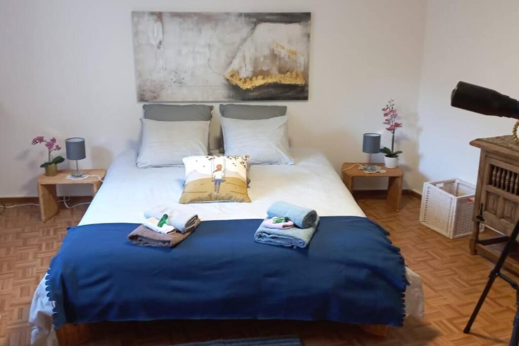 Apartmán Armonia Edificio Storico Del 1563. Cevio Exteriér fotografie