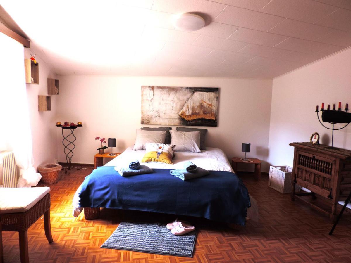 Apartmán Armonia Edificio Storico Del 1563. Cevio Exteriér fotografie